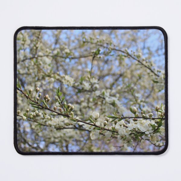 Item preview, Blossom designed and sold by Pellagia.