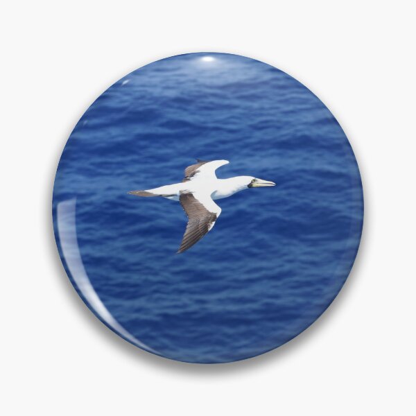Item preview, Masked Booby designed and sold by Malcolm Snook.