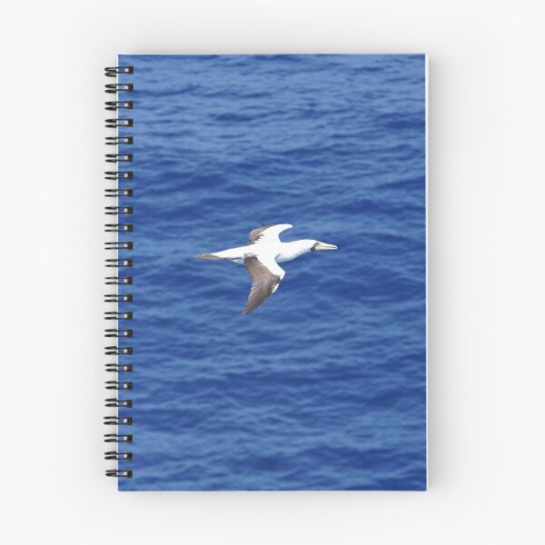 Item preview, Masked Booby designed and sold by Malcolm Snook.