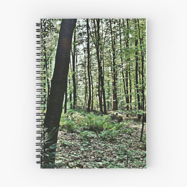 Item preview, Endor   designed and sold by Denise Abé.