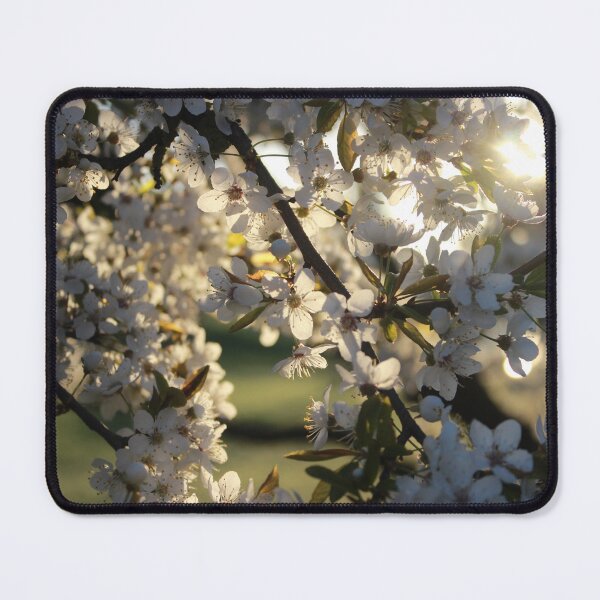 Item preview, Morning Blossom designed and sold by Pellagia.