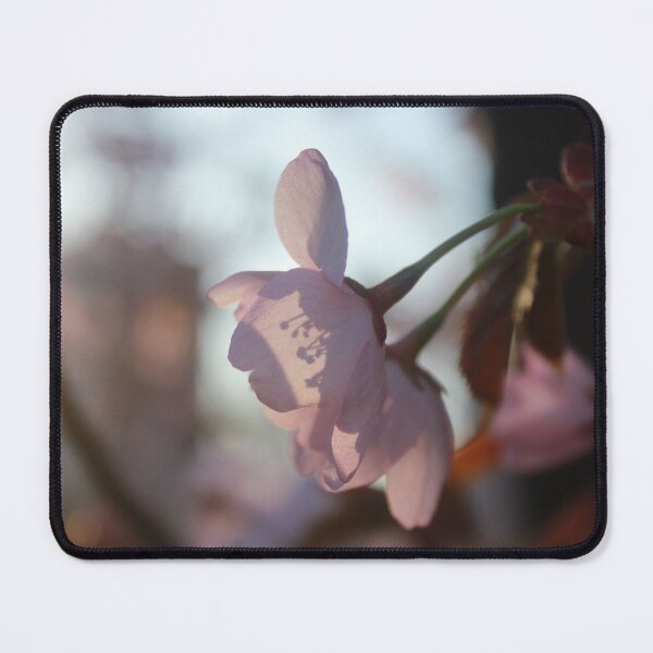 Item preview, Ready for blossom season designed and sold by Pellagia.