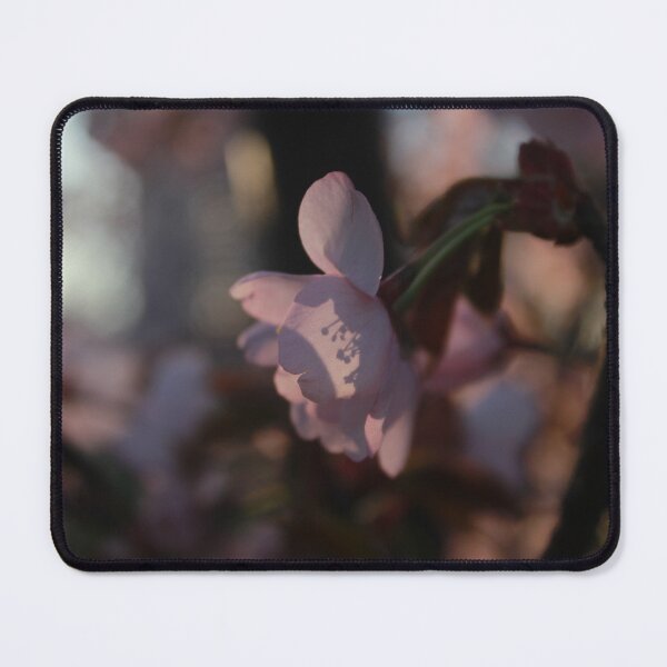 Item preview, Early blossoming in the Spring designed and sold by Pellagia.
