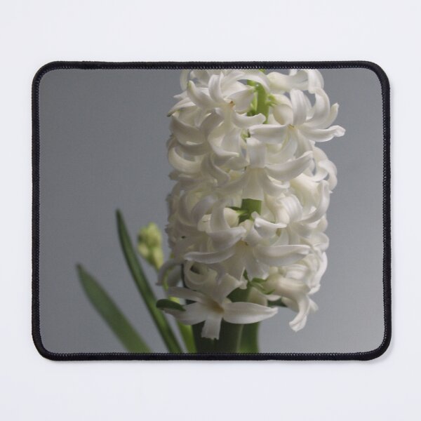 Item preview, Hyacinth designed and sold by Pellagia.