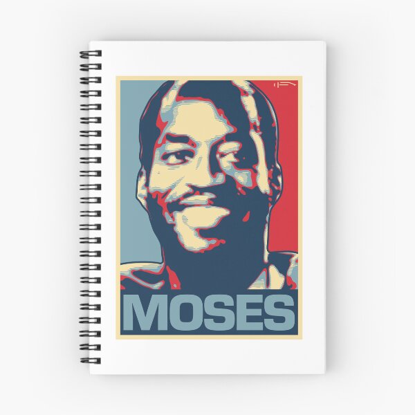 Item preview, Moses designed and sold by DFA.