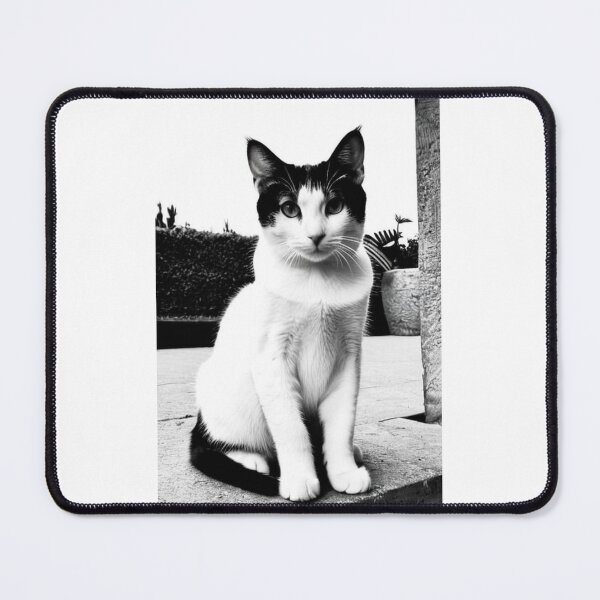 Item preview, Animals - Bicolor Cat in the Street, Urban Black and White Elegance designed and sold by DoodyPets.