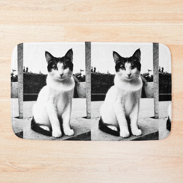 Item preview, Animals - Bicolor Cat in the Street, Urban Black and White Elegance designed and sold by DoodyPets.