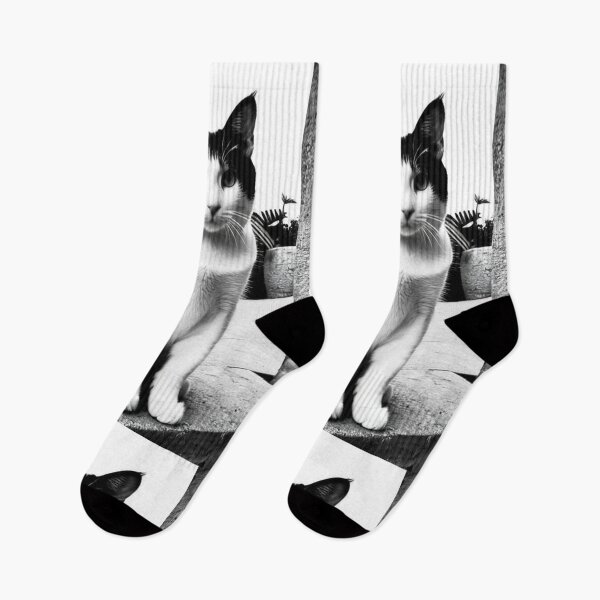 Item preview, Animals - Bicolor Cat in the Street, Urban Black and White Elegance designed and sold by DoodyPets.