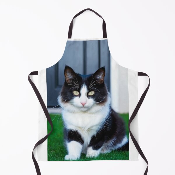 Item preview, Animals - Bicolor Cat, Intense Gaze and Perfect Symmetry designed and sold by DoodyPets.