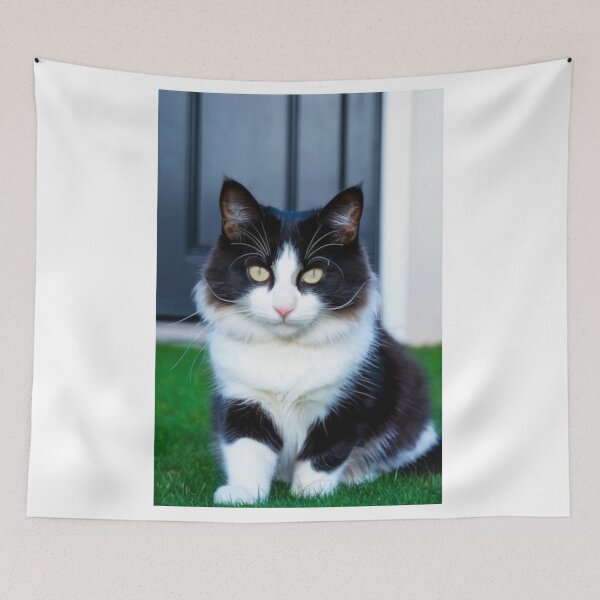 Item preview, Animals - Bicolor Cat, Intense Gaze and Perfect Symmetry designed and sold by DoodyPets.