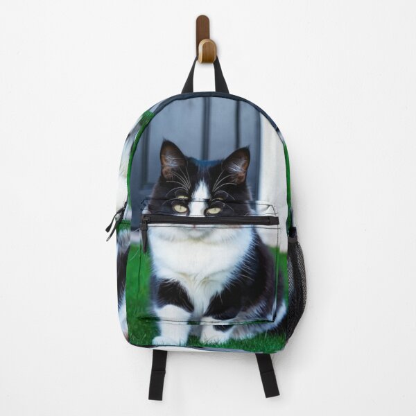 Item preview, Animals - Bicolor Cat, Intense Gaze and Perfect Symmetry designed and sold by DoodyPets.