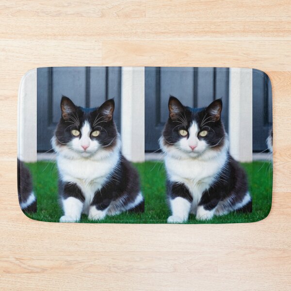 Item preview, Animals - Bicolor Cat, Intense Gaze and Perfect Symmetry designed and sold by DoodyPets.