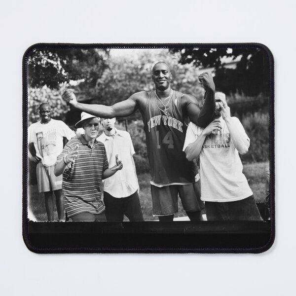 Item preview, Beasties x Knicks #788 designed and sold by sandrahofer-art.