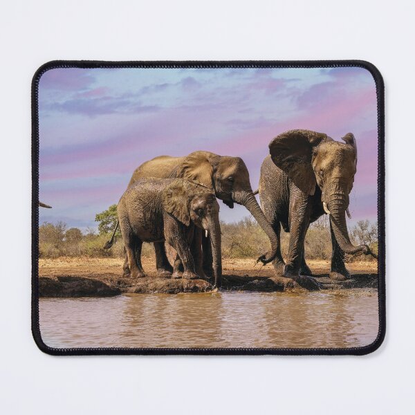 Item preview, Elephants At the Waterhole designed and sold by Kay Brewer.