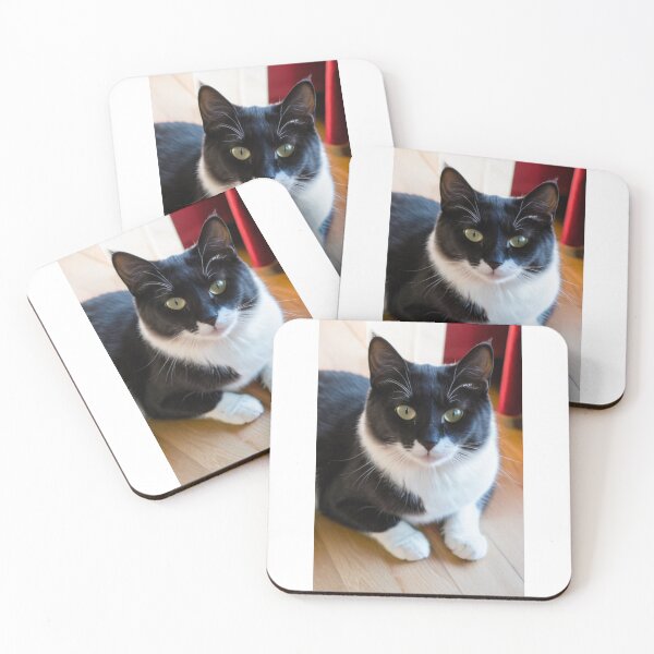 Item preview, Animals - Bicolor Tuxedo Cat, Feline Portrait with Intense Yellow-Green Eyes designed and sold by DoodyPets.