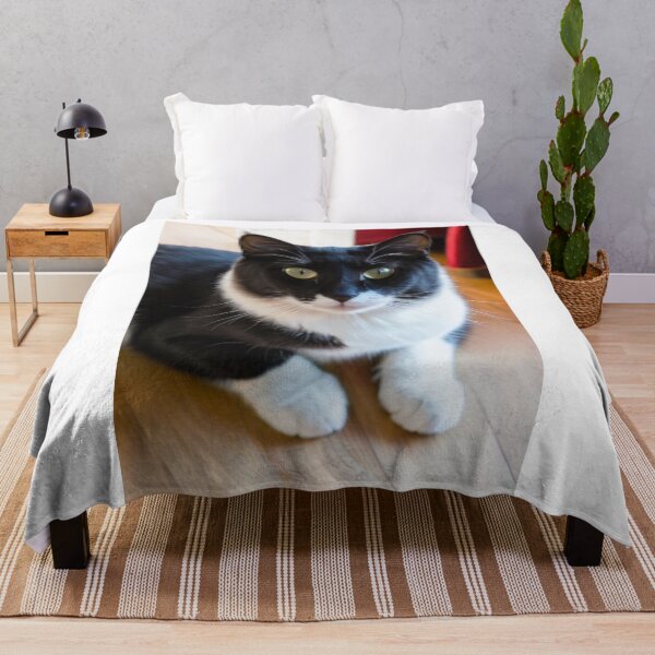 Item preview, Animals - Bicolor Tuxedo Cat, Feline Portrait with Intense Yellow-Green Eyes designed and sold by DoodyPets.