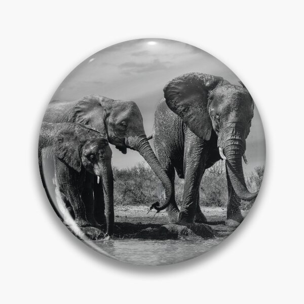 Item preview, Elephants At the Waterhole In Black and White designed and sold by Kay Brewer.