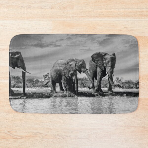 Item preview, Elephants At the Waterhole In Black and White designed and sold by Kay Brewer.