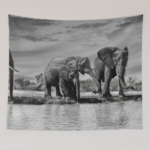 Item preview, Elephants At the Waterhole In Black and White designed and sold by Kay Brewer.
