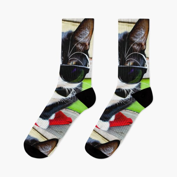 Item preview, Animals - Black and White Cat, Cool Humor and Internet Pop Culture designed and sold by DoodyPets.