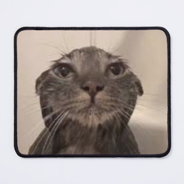 Item preview, Drenched cat | funny T-Shirt design designed and sold by OffensTee.