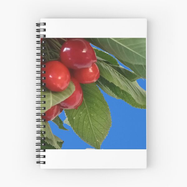 Item preview, Cherry designed and sold by DjeriK.