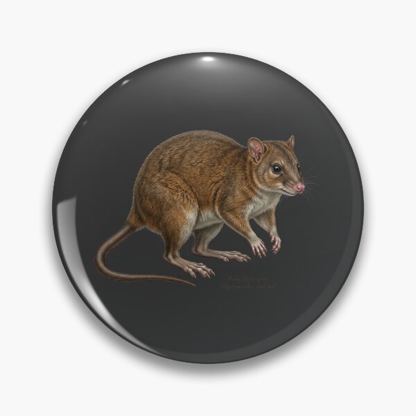 Item preview, Primeval Rainforest Relic: Musky Rat-Kangaroo (Hypsiprymnodon moschatus) Print designed and sold by FreiherrPK.