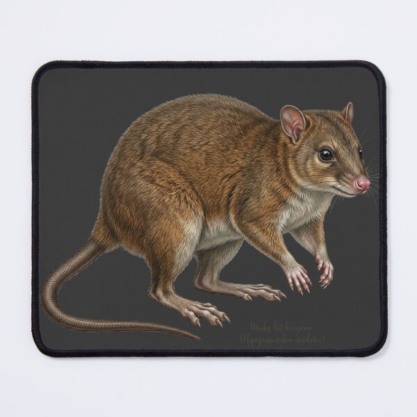 Item preview, Primeval Rainforest Relic: Musky Rat-Kangaroo (Hypsiprymnodon moschatus) Print designed and sold by FreiherrPK.