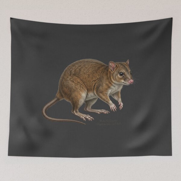 Item preview, Primeval Rainforest Relic: Musky Rat-Kangaroo (Hypsiprymnodon moschatus) Print designed and sold by FreiherrPK.