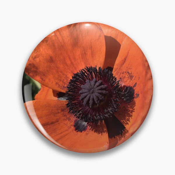 Item preview, Beautiful Vermilion Orange Oriental Poppy in Bloom designed and sold by Georgia Mizuleva.
