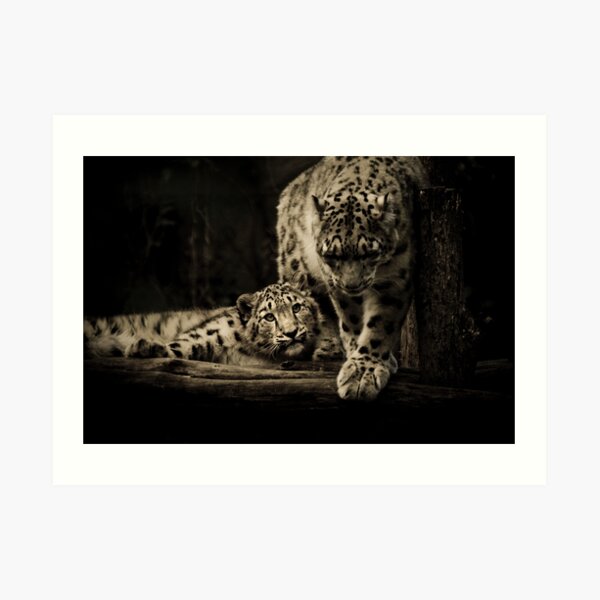 Mother & Son Art Print