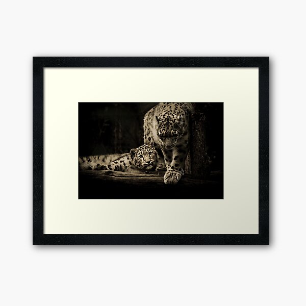 Mother & Son Framed Art Print