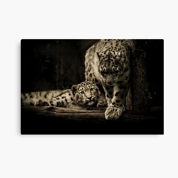 Mother & Son Canvas Print