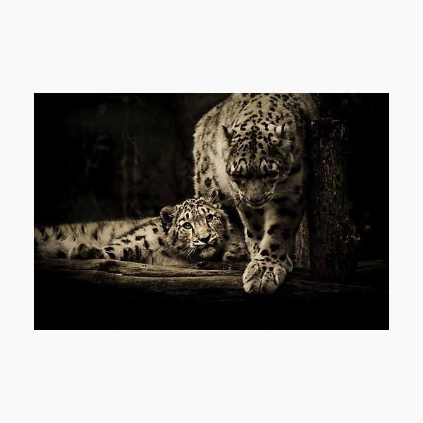Mother & Son Photographic Print