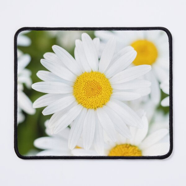 Item preview, Aesthetic white oxeye daisy flowers summer field pattern designed and sold by TanalyFlowers.