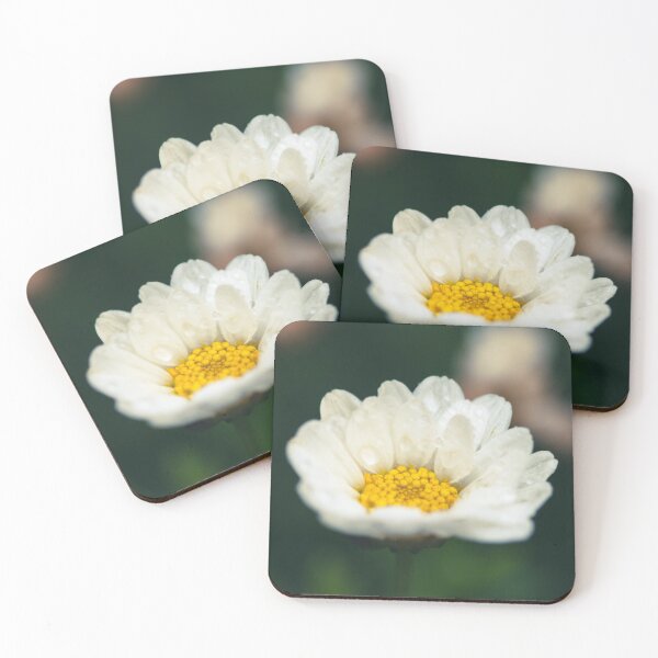 Item preview, White daisy flower with morning dew drops macro designed and sold by TanalyFlowers.