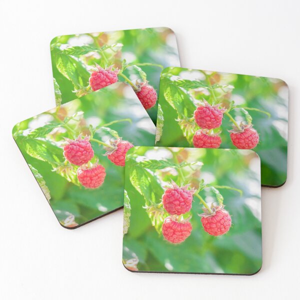 Item preview, Fresh wild raspberries ripening on a branch macro designed and sold by TanalyFlowers.