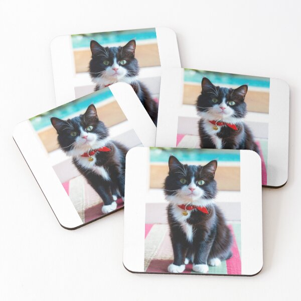 Item preview, Animals - Black and White Cat, Summer Elegance by the Pool designed and sold by DoodyPets.