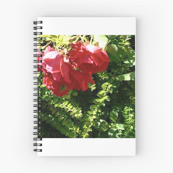 Item preview, Rose and bush designed and sold by DjeriK.