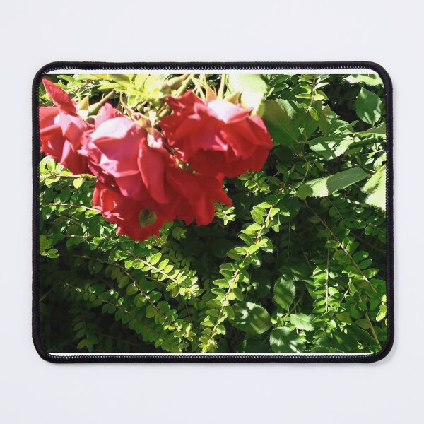 Item preview, Rose and bush designed and sold by DjeriK.