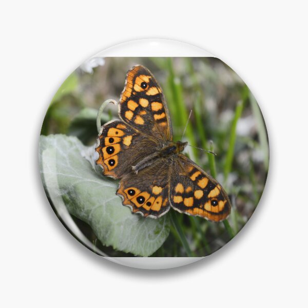 Item preview, Tiger butterfly designed and sold by XaviFotografia.