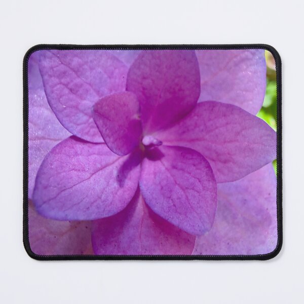 Item preview, Hydrangea Petals designed and sold by Betsy Phillips.