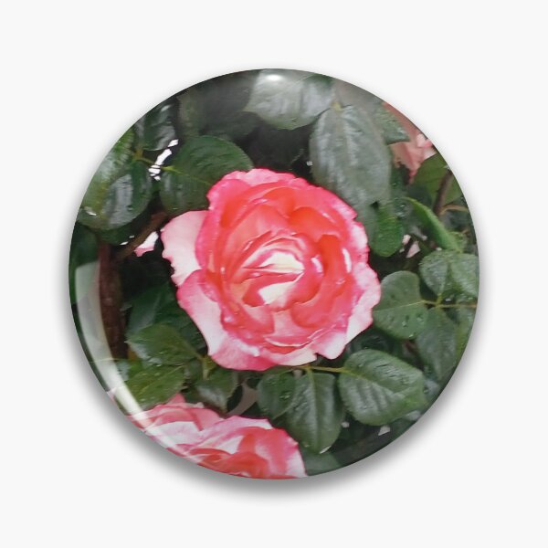 Item preview, Red rose designed and sold by DjeriK.