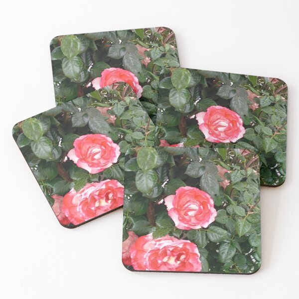 Item preview, Red rose designed and sold by DjeriK.