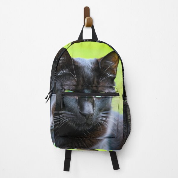 Item preview, Animals - Black Cat with Green Eyes, Hypnotic Gaze and Contemporary Design designed and sold by DoodyPets.