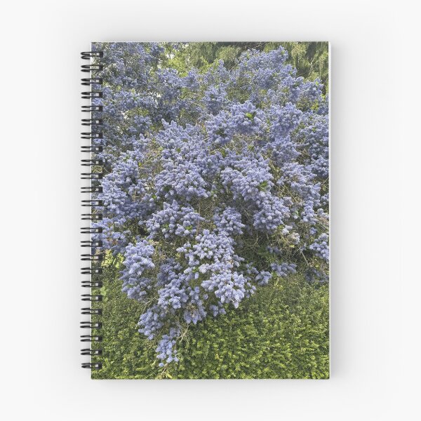 Item preview, Cotswold Countryside 129 designed and sold by Pretty Cotswold Designs.