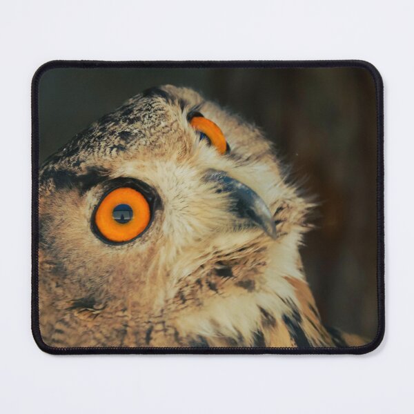 Item preview, Mystic Golden Eyed Owl Portrait designed and sold by ovidiuboc.