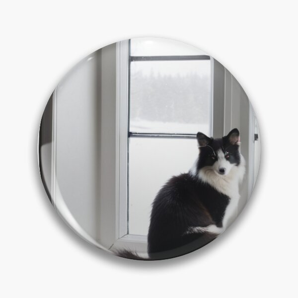 Item preview, Animals - Contemplative Black and White Cat, Serenity at the Window designed and sold by DoodyPets.
