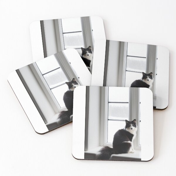 Item preview, Animals - Contemplative Black and White Cat, Serenity at the Window designed and sold by DoodyPets.