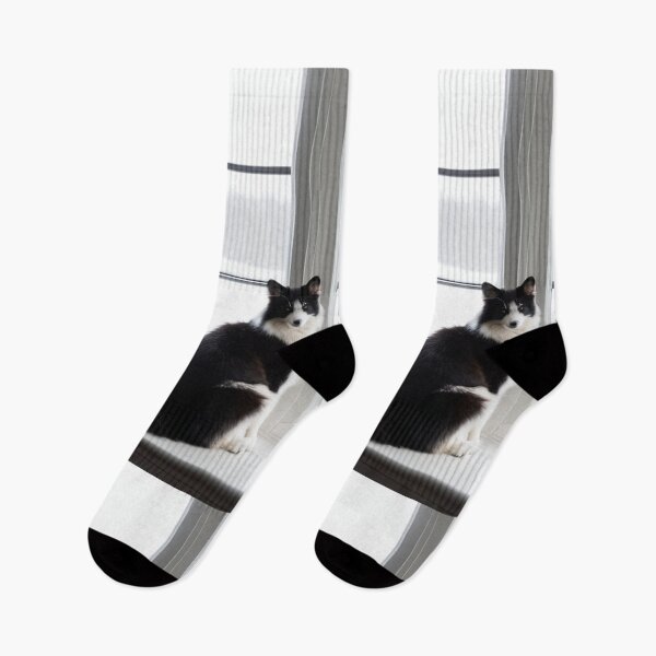 Item preview, Animals - Contemplative Black and White Cat, Serenity at the Window designed and sold by DoodyPets.
